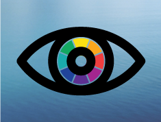 Complete This Online Test and Assess Your Color Vision