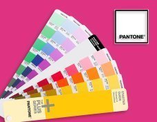 สี Pantone คืออะไร?