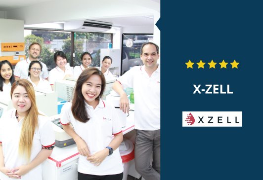X-ZELL: Running a Startup in SEA