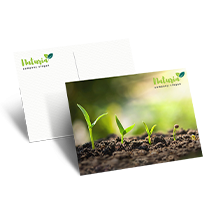 โปสการ์ด & การ์ดอวยพร Image