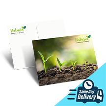 โปสการ์ดส่งภายในวัน Image