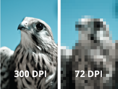 ทำไมต้องตั้งค่าความละเอียดของรูปภาพ (DPI)?
